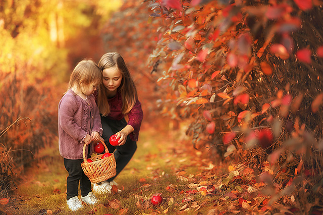 Family Photosession